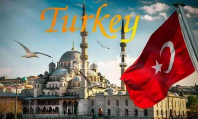 How to Diversify Your Investment Portfolio Like a Pro