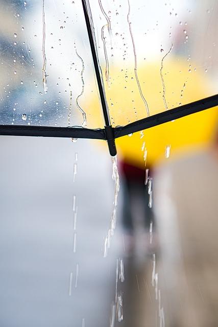 The Ultimate Guide to Saving for a Rainy Day