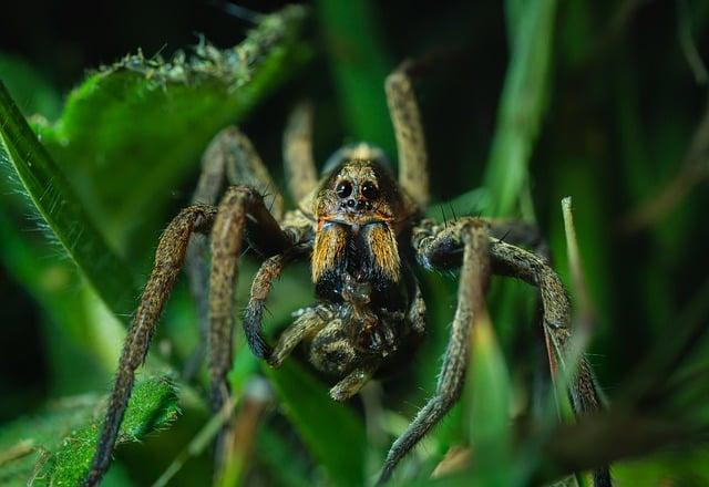 How to Use Catch-Up Contributions to Boost Your Retirement Fund