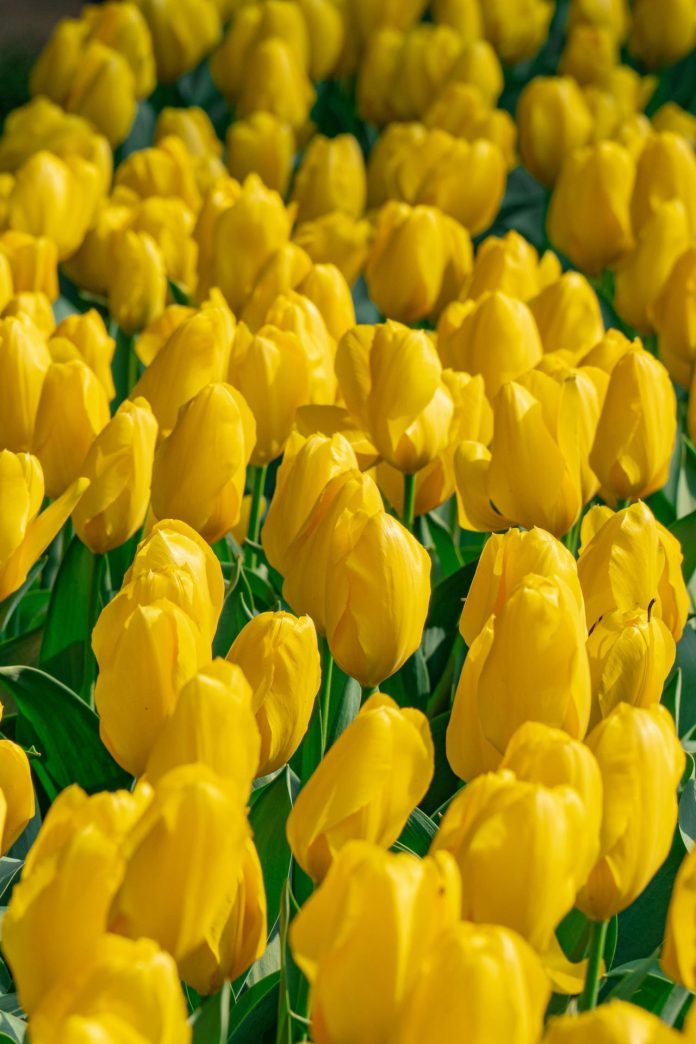 How to Avoid Outliving Your Retirement Savings