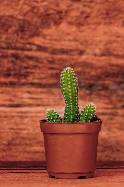 Water Wisdom: Reducing ‍Consumption Without Compromising Comfort