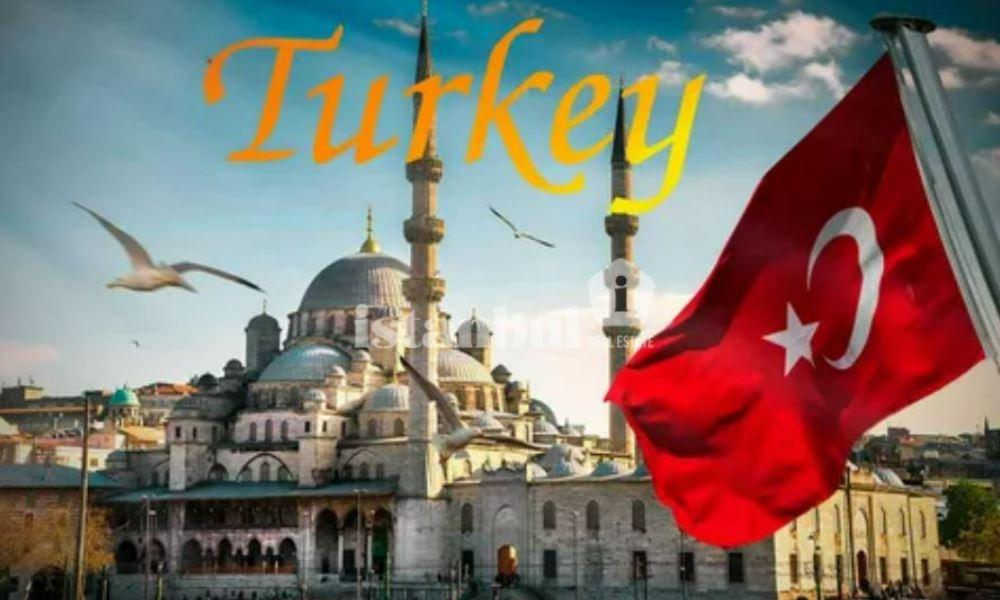 Diversifying Your Investment Portfolio for Stability