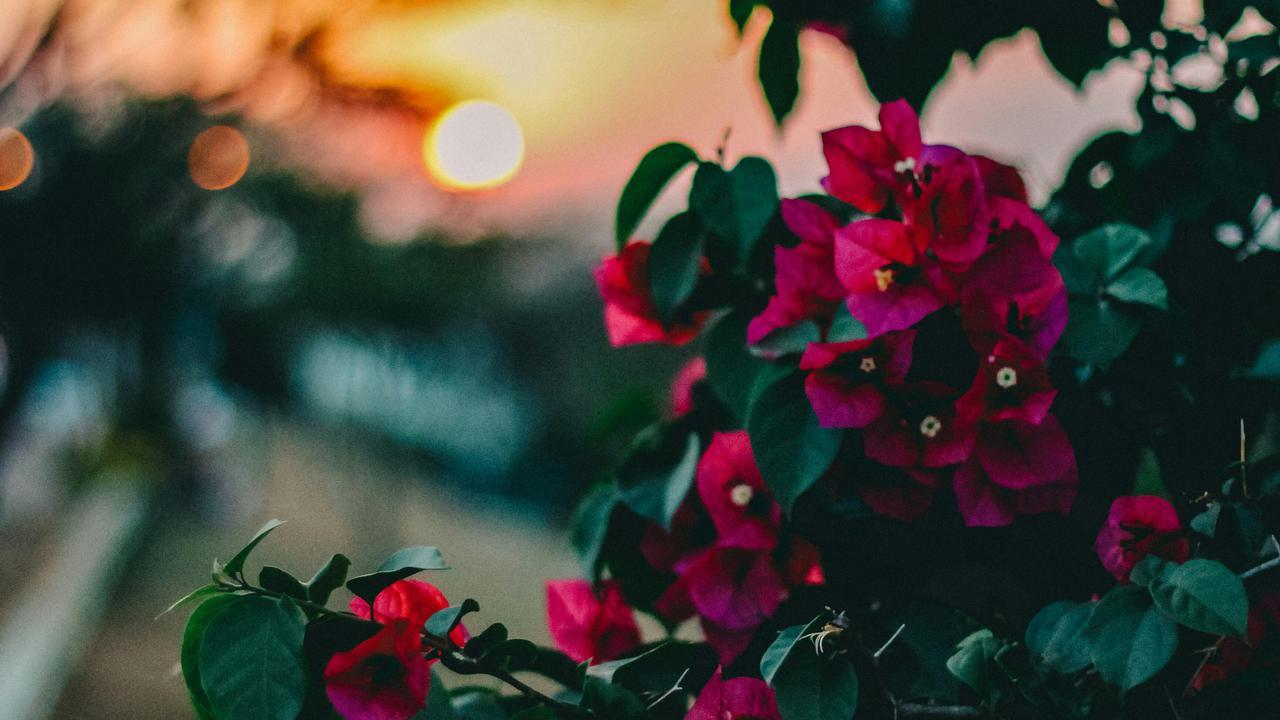 Aligning with Financial Goals: Adapting to Life Changes and Milestones